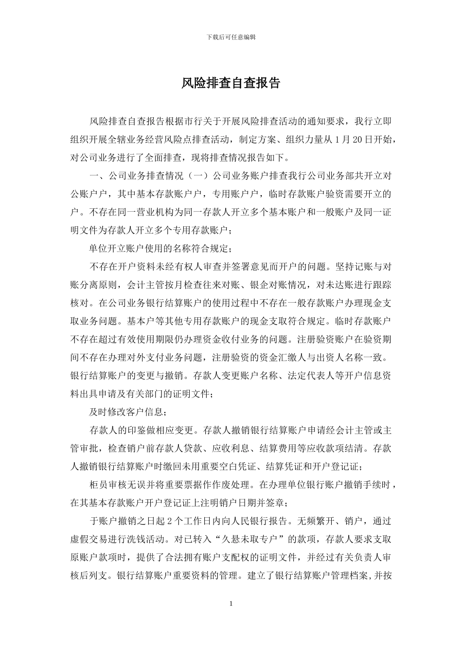 风险排查自查报告_第1页
