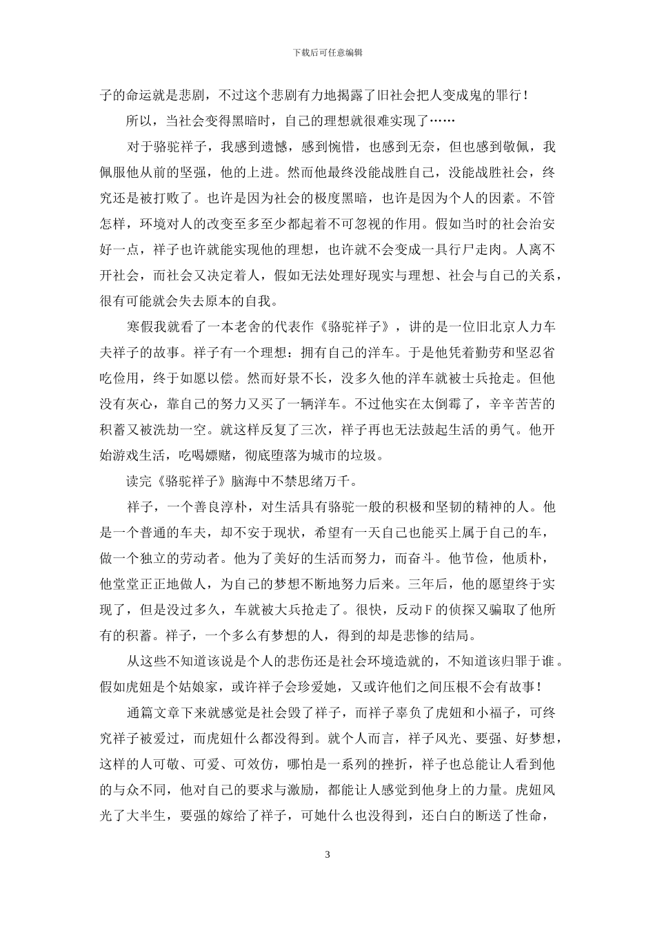 骆驼祥子读后感700字初一作文_第3页