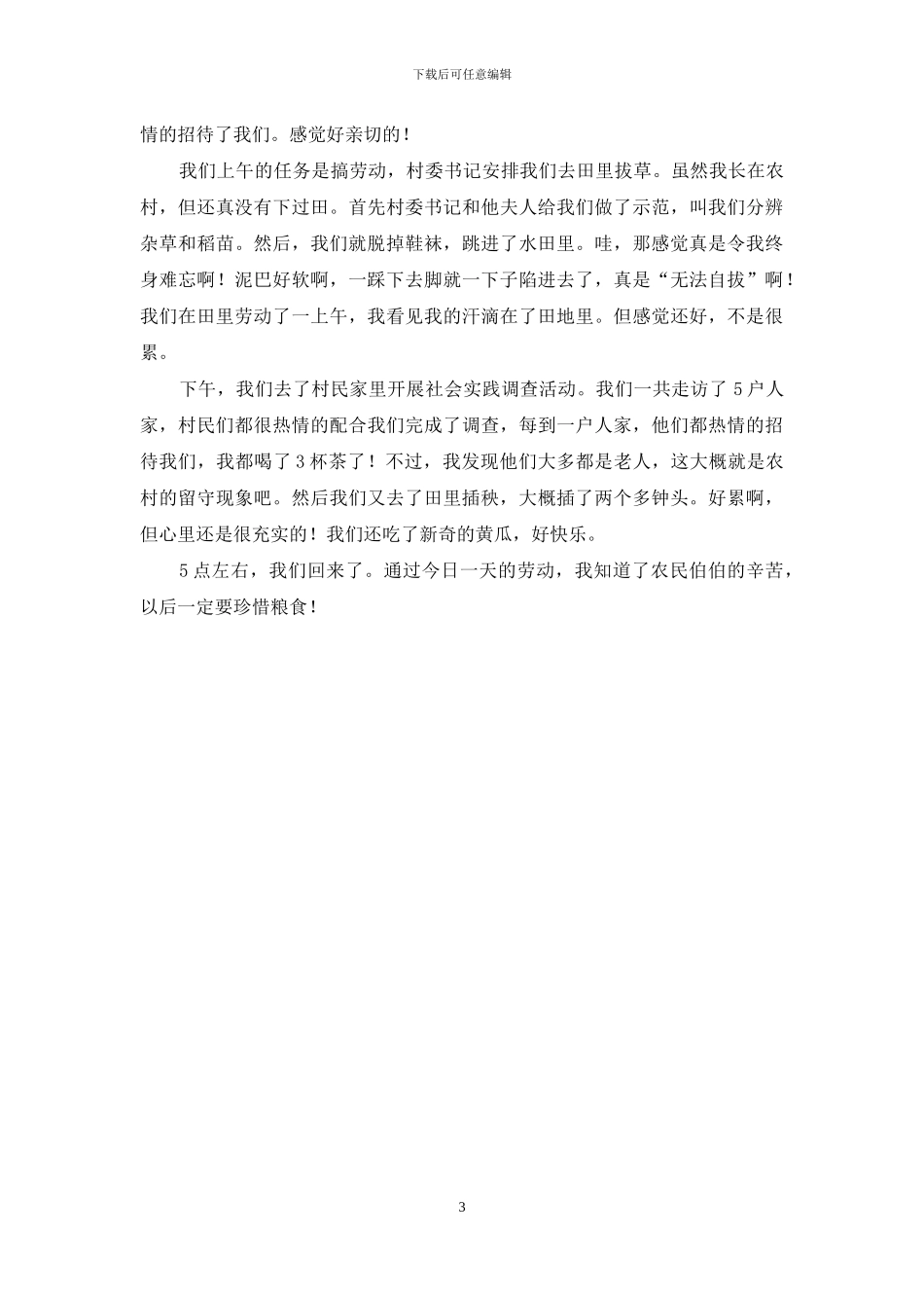 高中生暑期三下乡日志_第3页