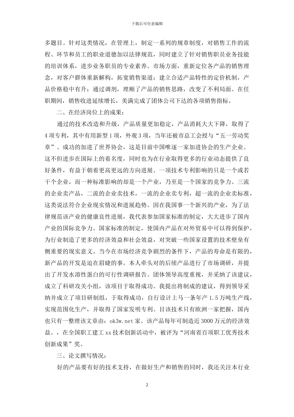 高级经济师工作总结报告_第2页