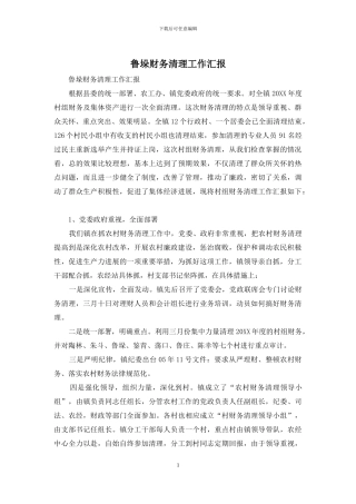 鲁垛财务清理工作汇报