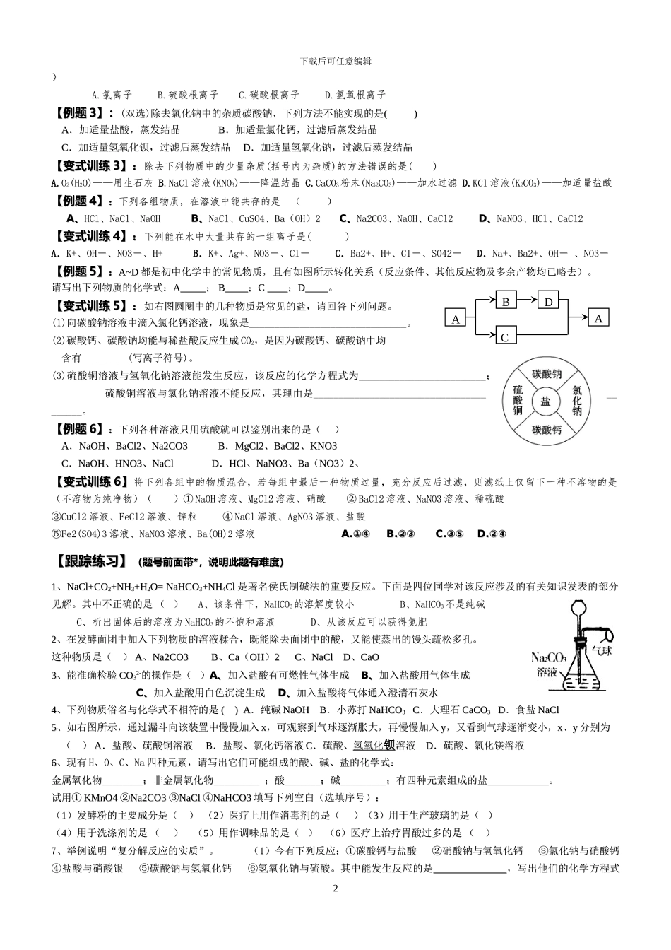 鲁教版九年级《海水制碱》单元跟踪练习题_第2页