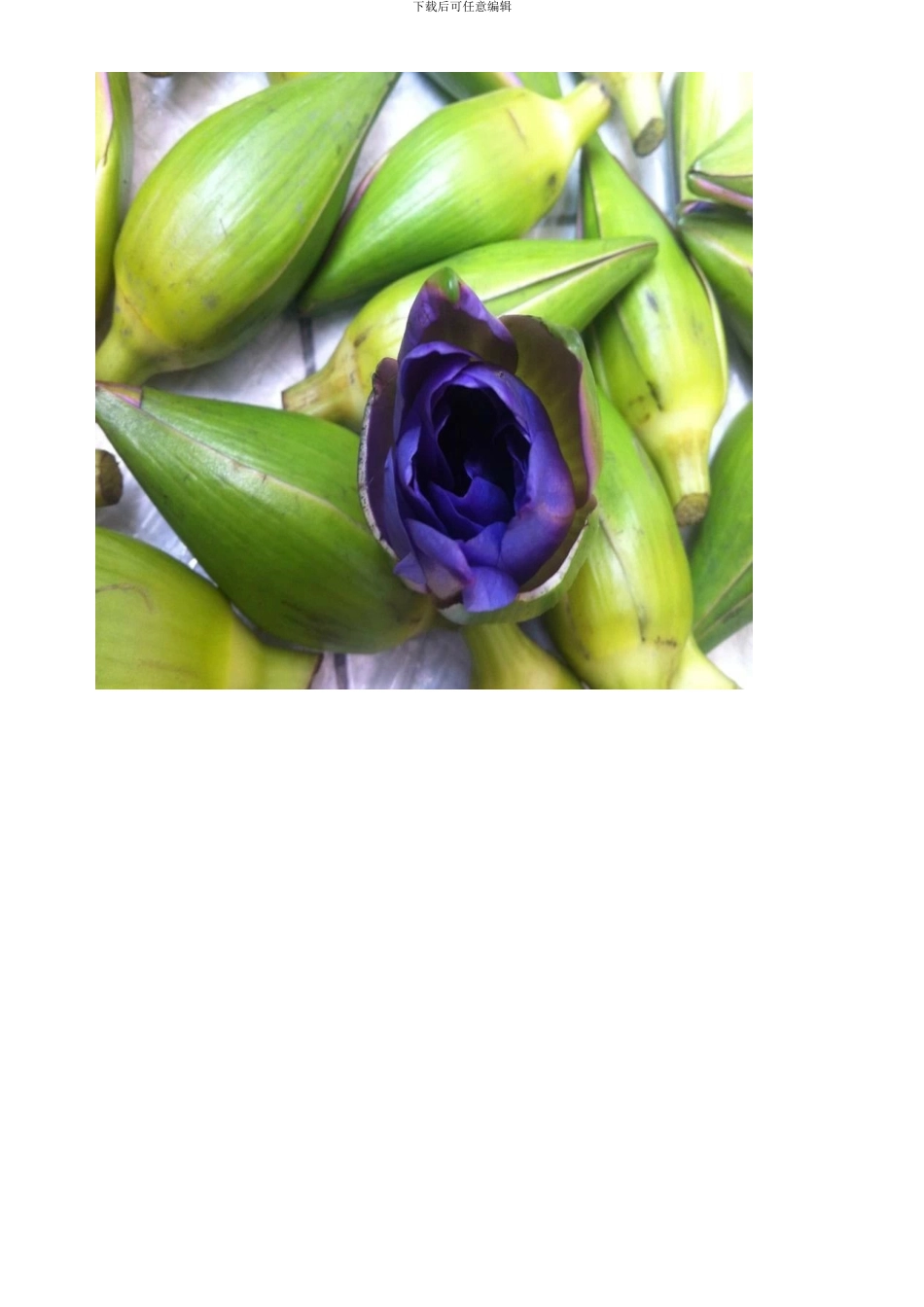 鲜花纯露的制作及使用方法经验分享_第2页