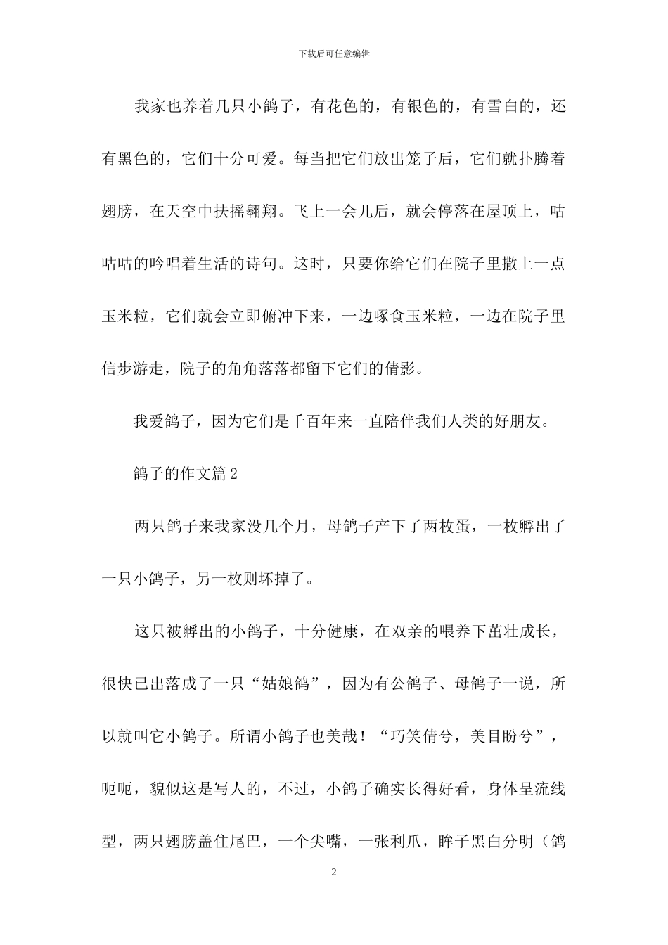 鸽子的作文合集9篇_第2页
