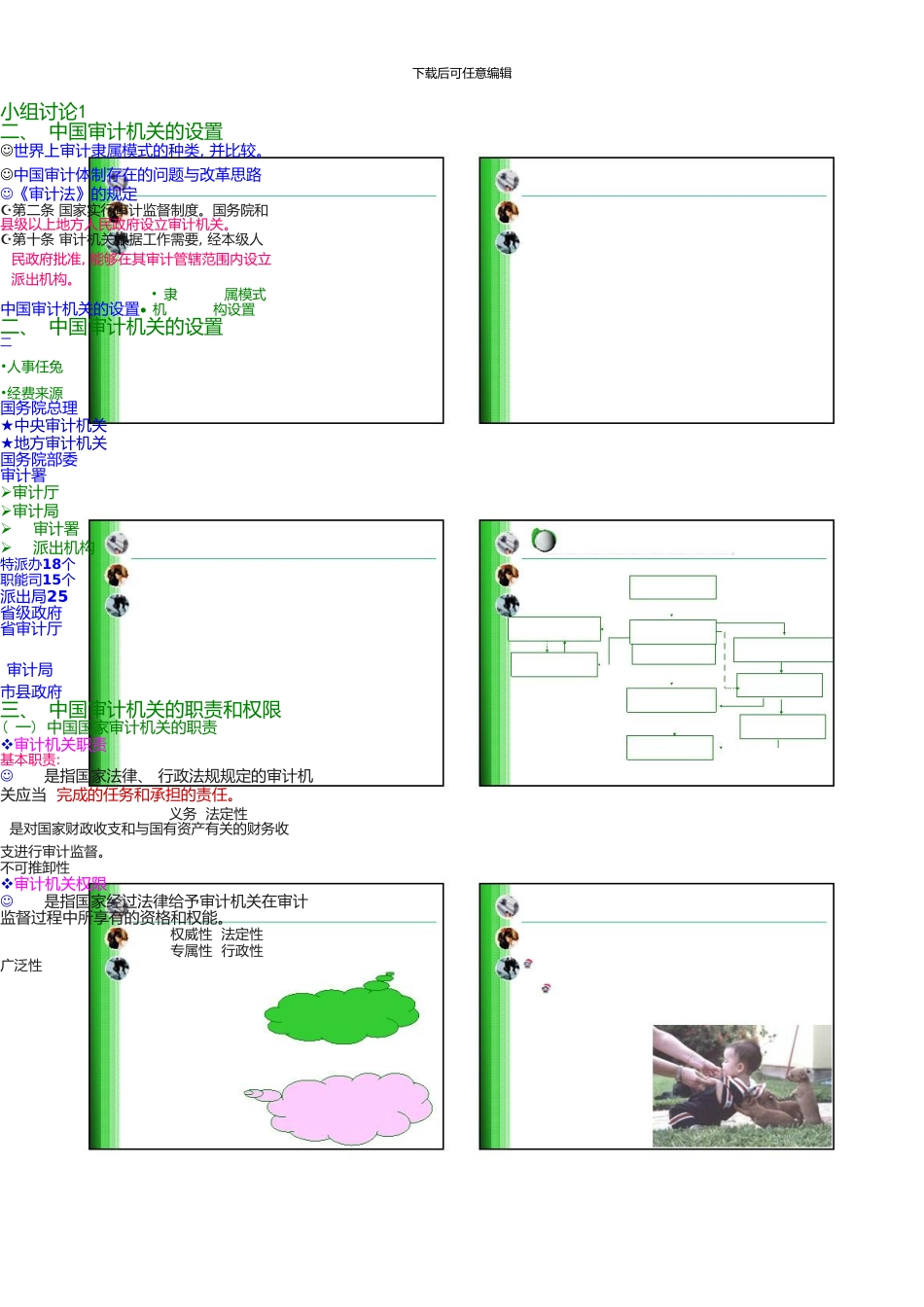2审计组织与审计人员_第2页