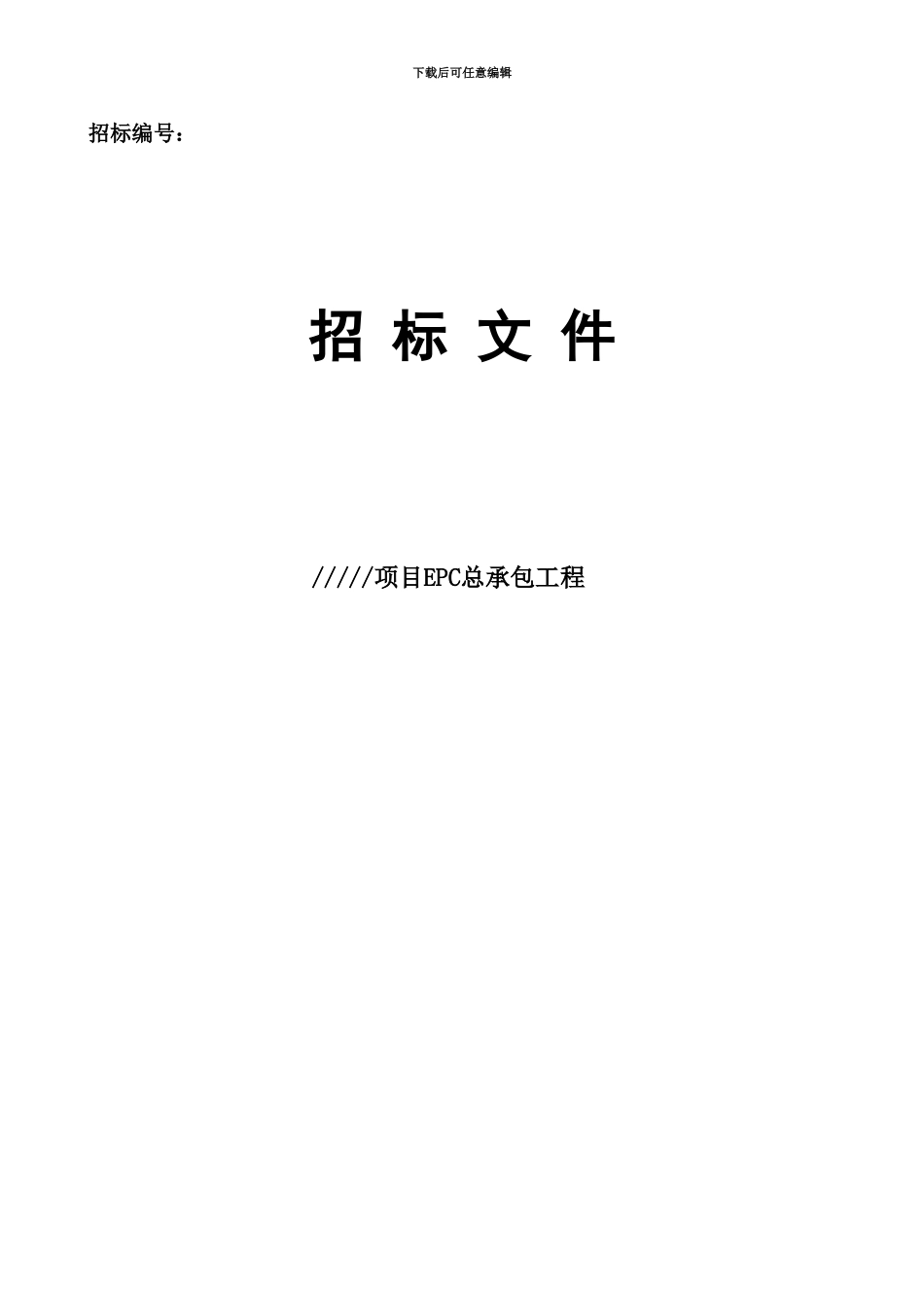 EPC总承包工程招标文档模板_第2页