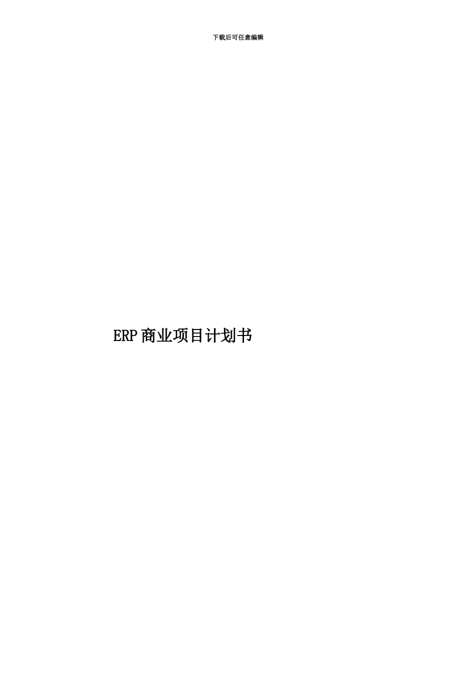 ERP商业项目计划书_第1页