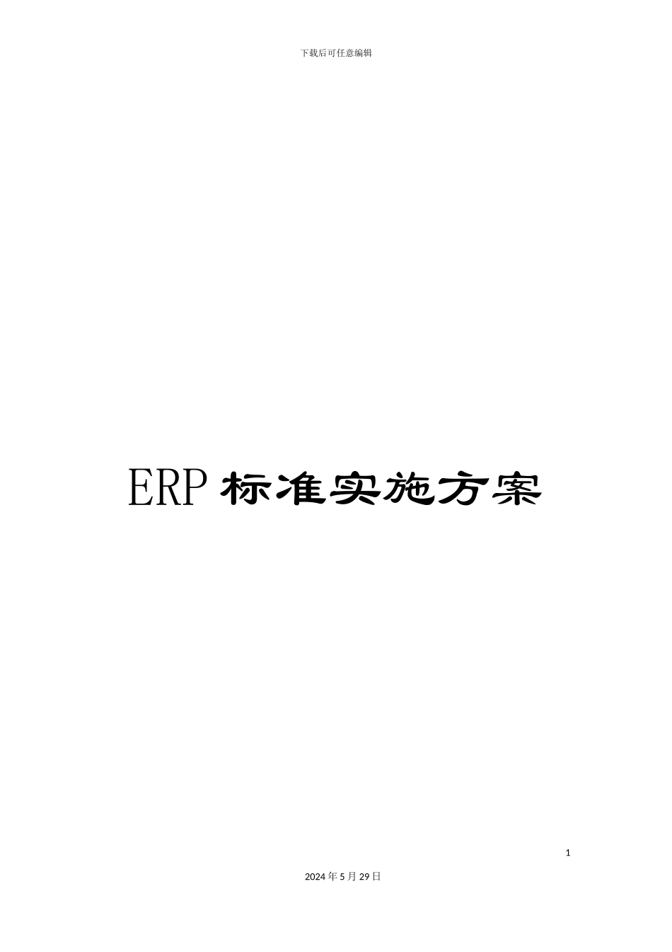 ERP标准实施方案_第1页
