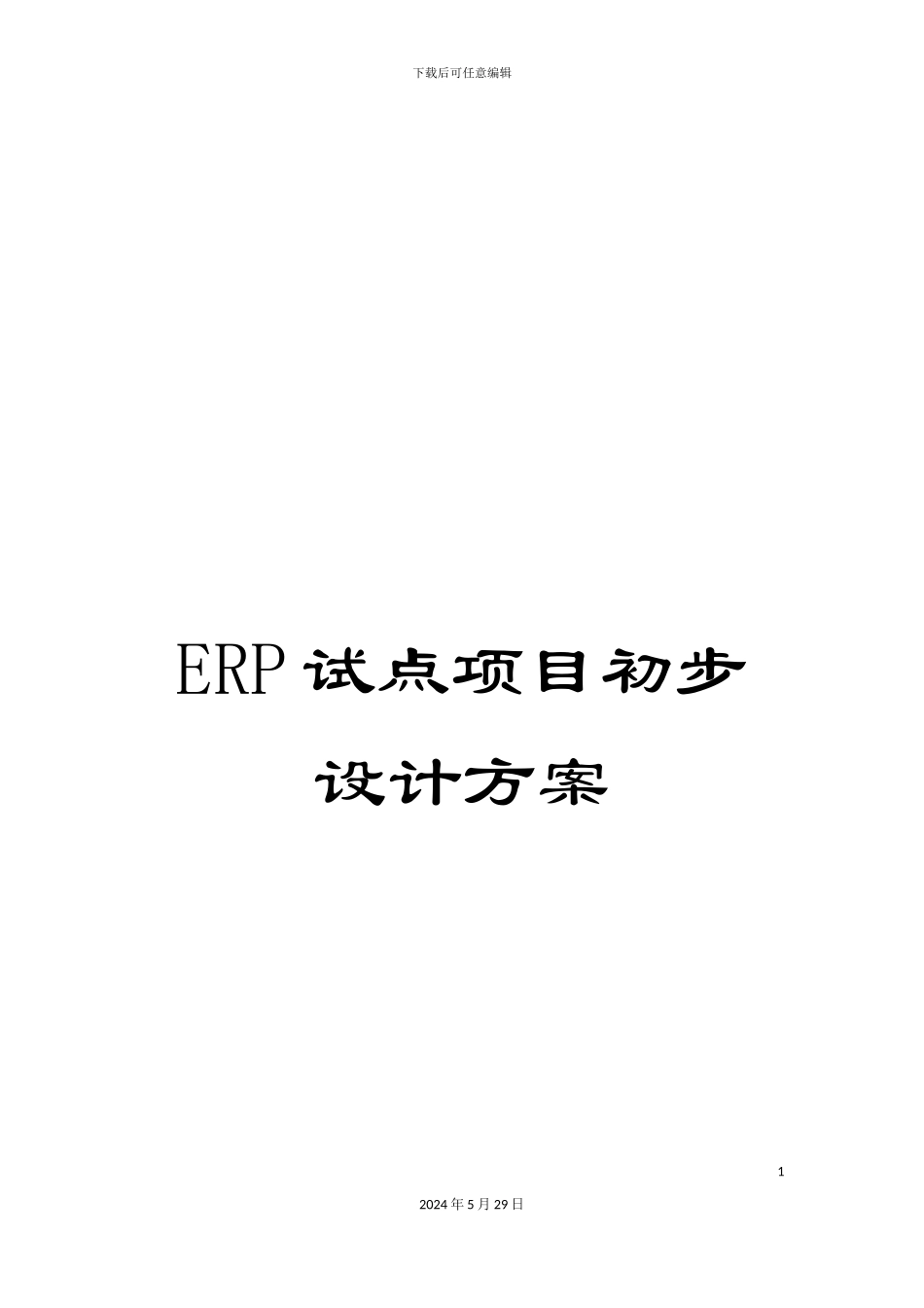ERP试点项目初步设计方案_第1页