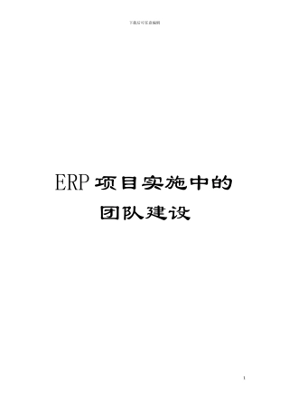 ERP项目实施中的团队建设模板