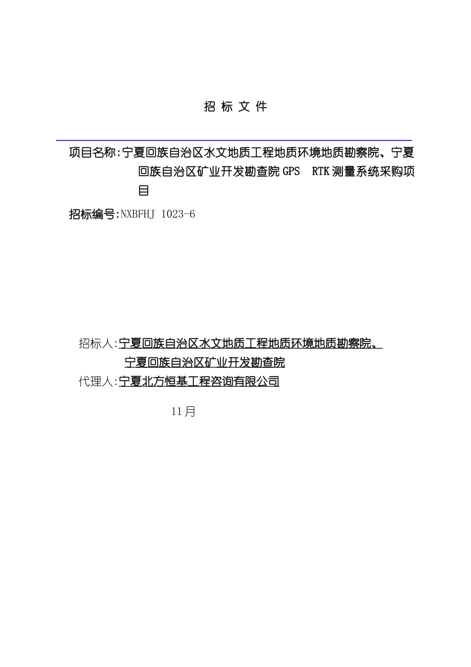 GPSRTK测量系统采购项目招标文件_第2页