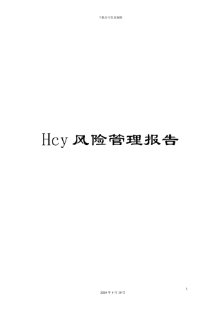 Hcy风险管理报告