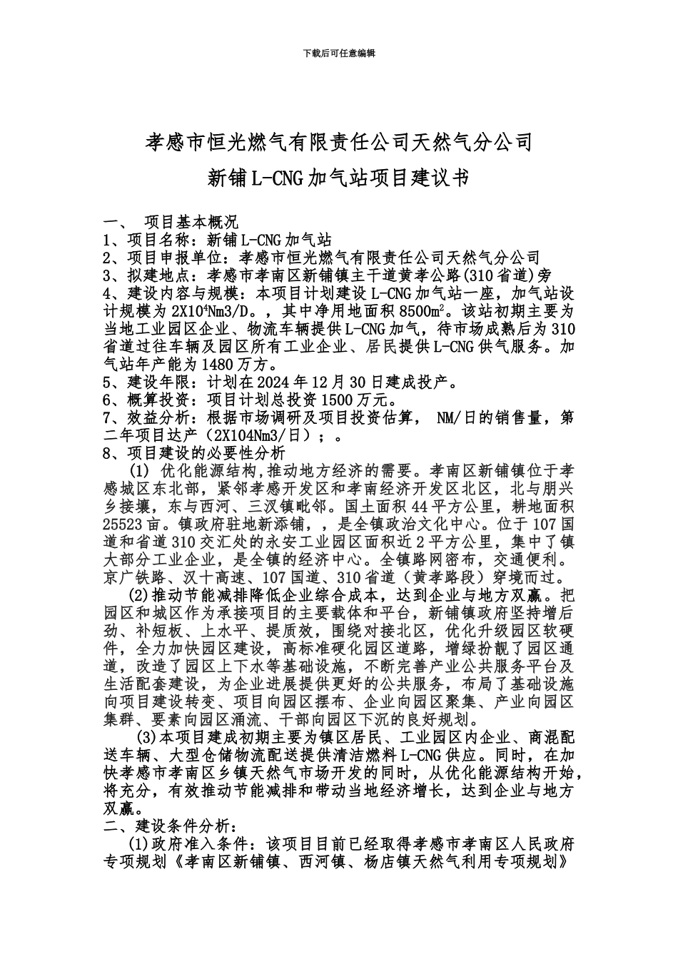 LCNG加气站项目建议报告_第3页