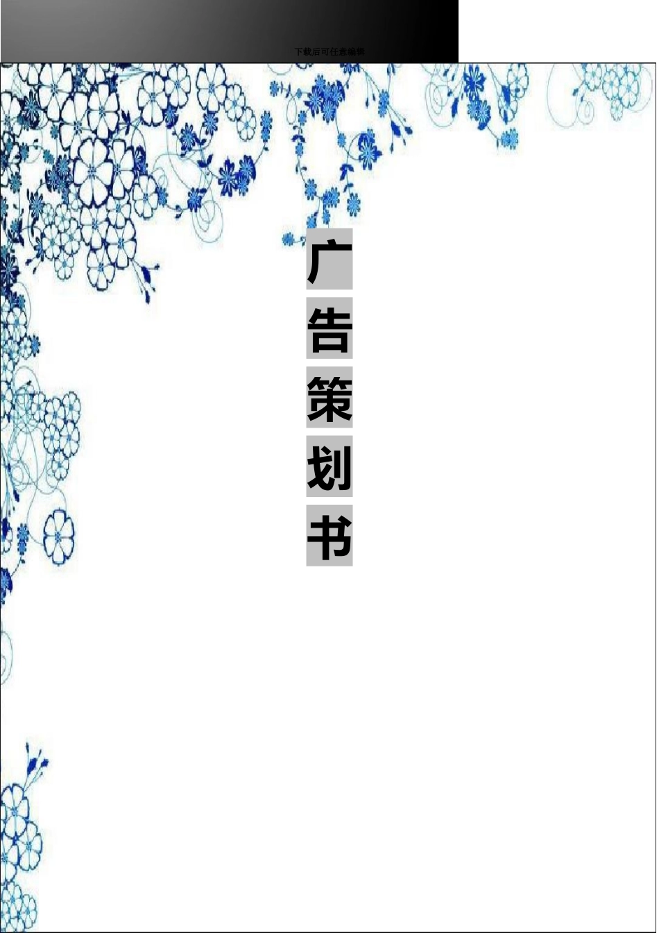 MAC广告策划组织方案_第2页