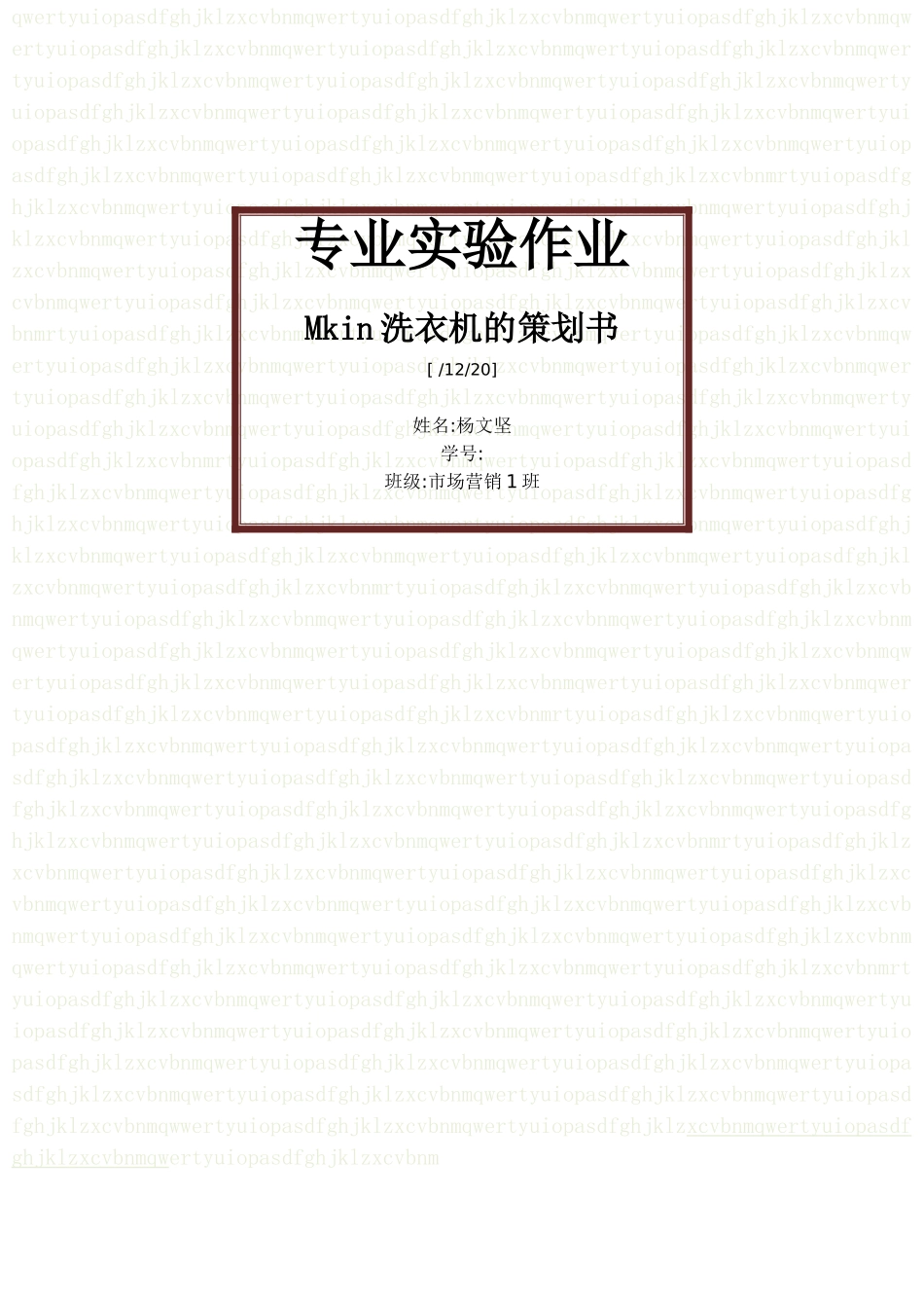Mkin洗衣机的策划书模板_第1页