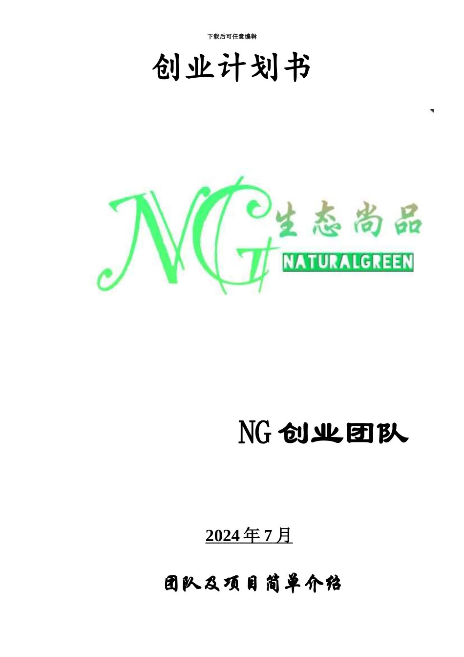 NG创业团队创业计划书_第2页