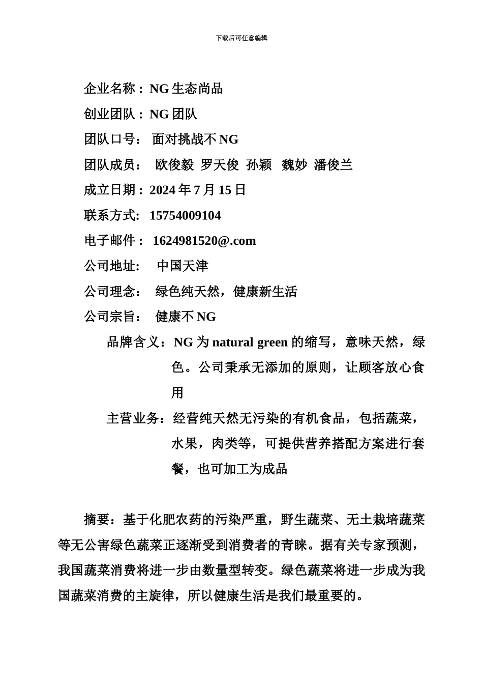 NG创业团队创业计划书_第3页