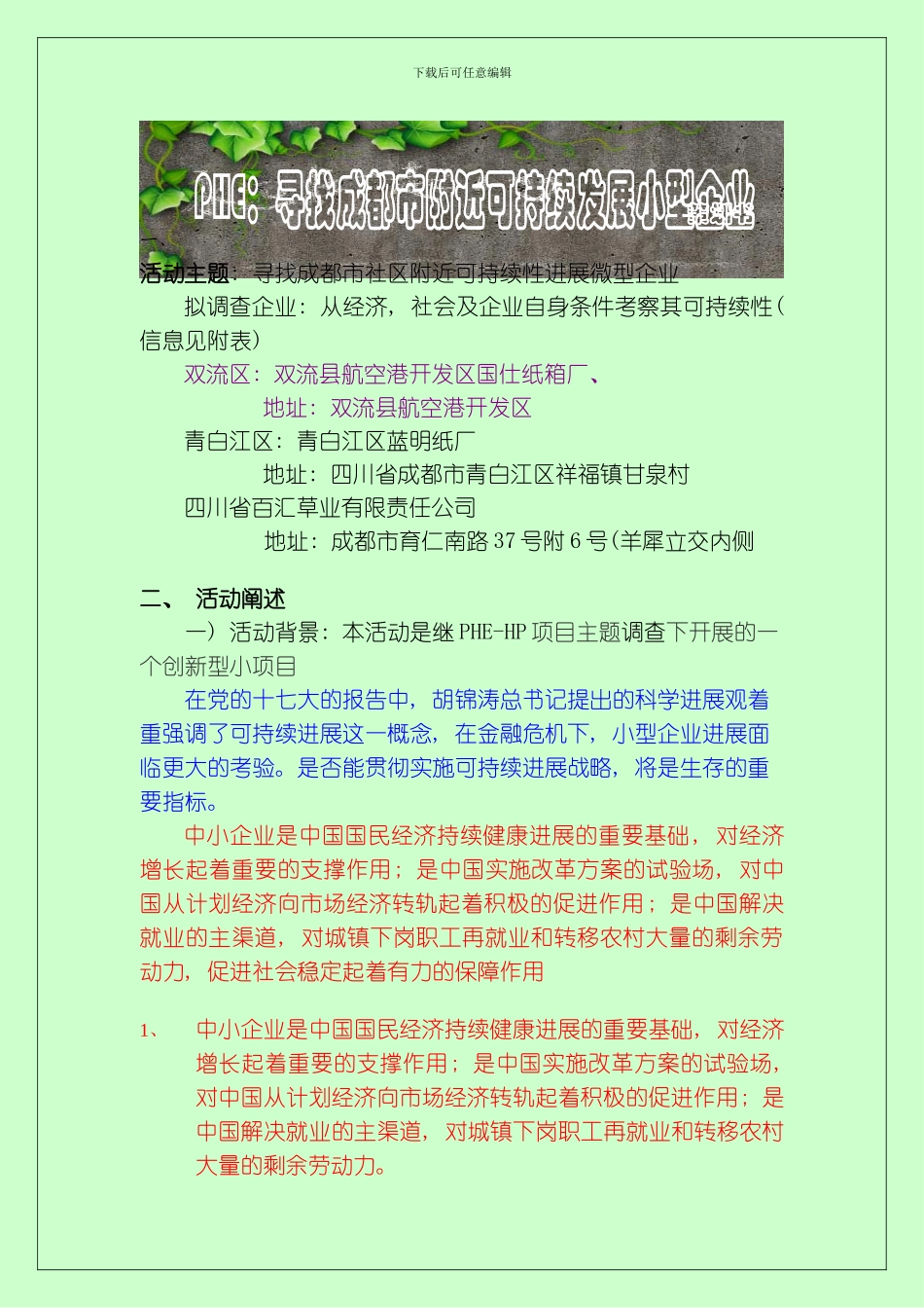 PHE策划书定稿模板_第1页