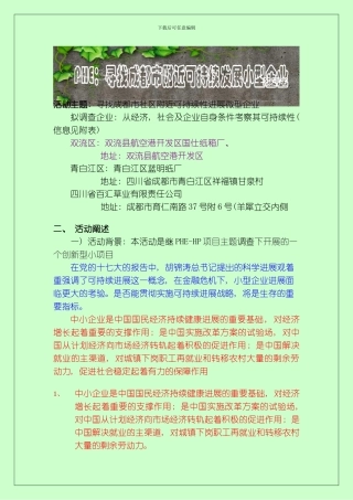 PHE策划书定稿模板