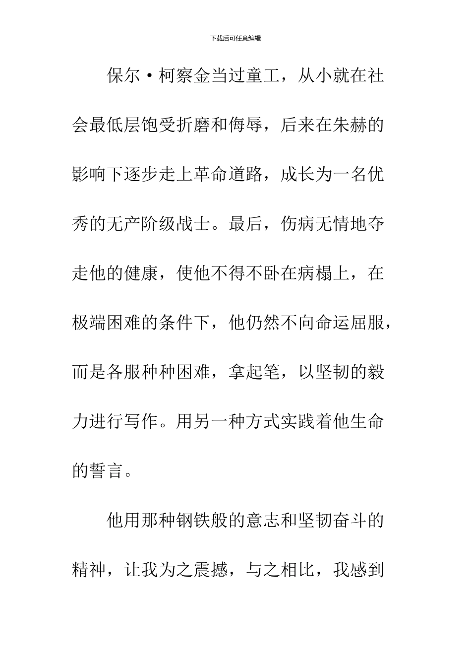 《钢铁是怎样炼成的》读后感-19_第2页