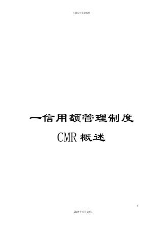 一信用额管理制度CMR概述