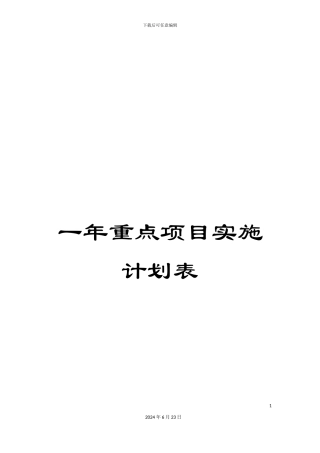 一年重点项目实施计划表
