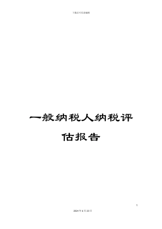 一般纳税人纳税评估报告