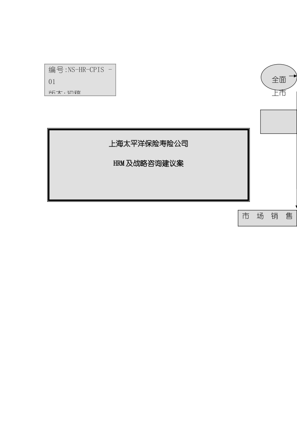 上海太保HRM及战略咨询建议方案_第2页
