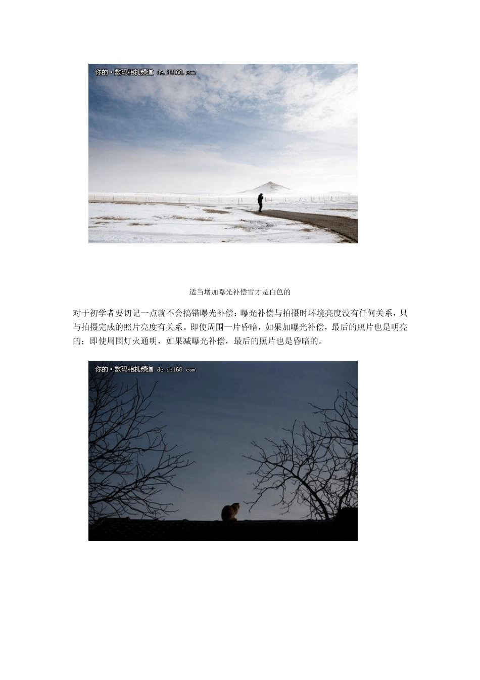 从零开始学摄影曝光补偿使用指南_第3页