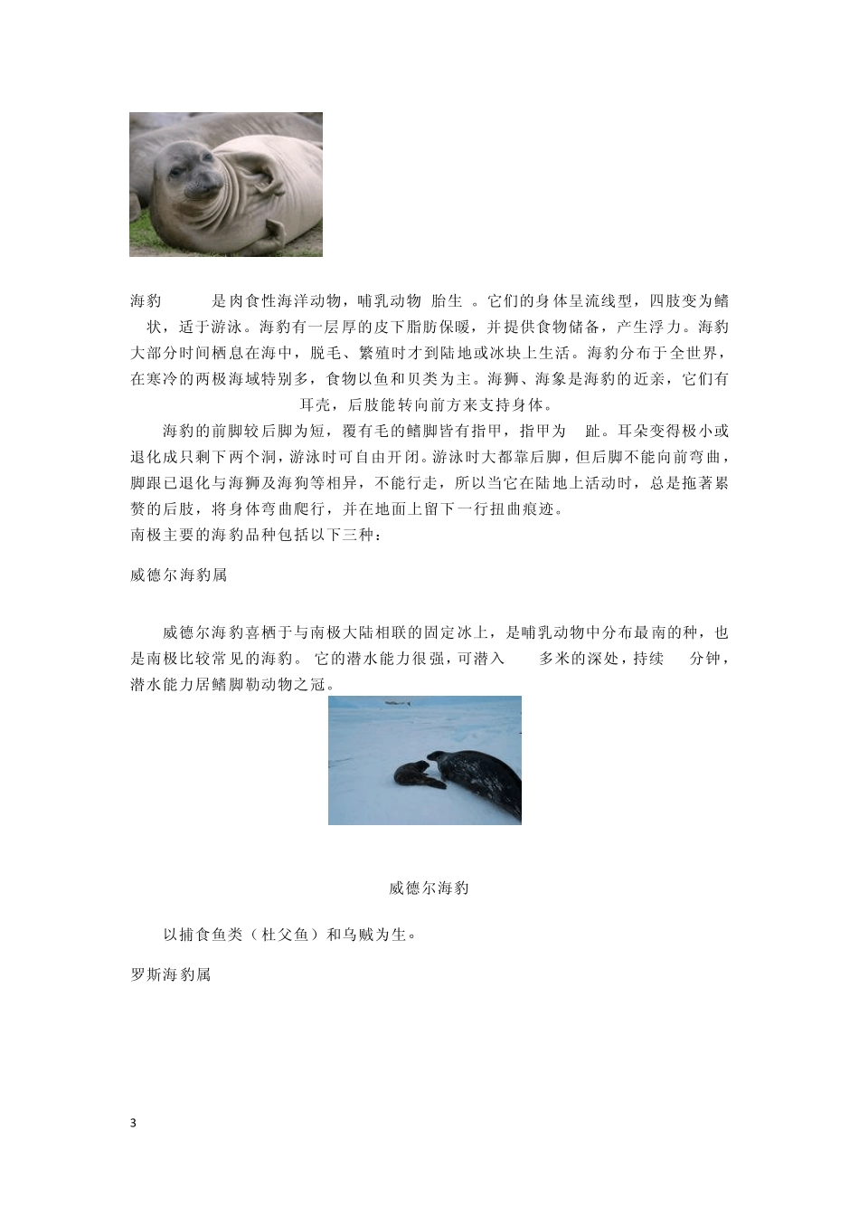 关于南极动物的介绍_第3页