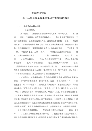 关于县域支行重点推进计划情况的报告