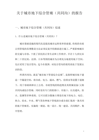 关于地下综合管网的报告