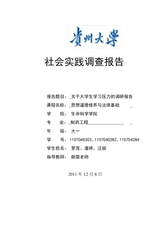 关于大学生学习压力调研社会实践调查报告