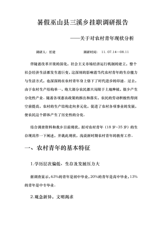 关于对农村青年现状分析的调查报告终