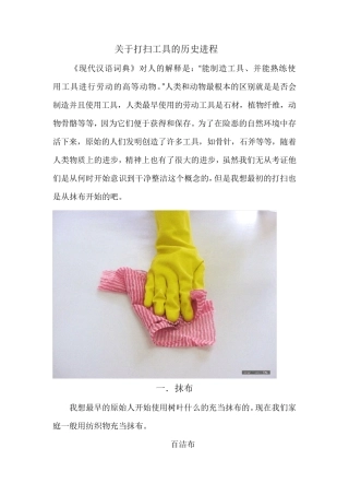 关于打扫工具的历史进程