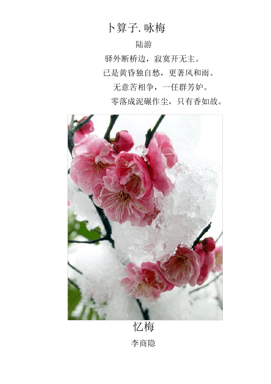 关于梅花的诗词与图片_第2页