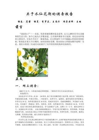 关于水仙花期的调查报告