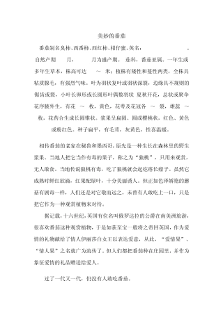 关于番茄的简介