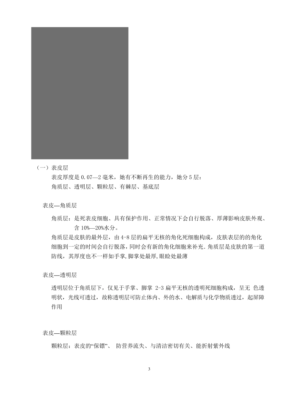 关于皮肤基础知识的详解_第3页