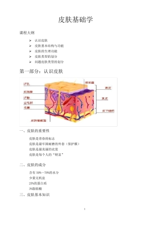 关于皮肤基础知识的详解