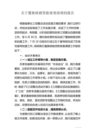 关于置换核销贷款排查清理的报告