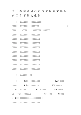 关于视察调研我市少数民族文化保护工作情况的报告