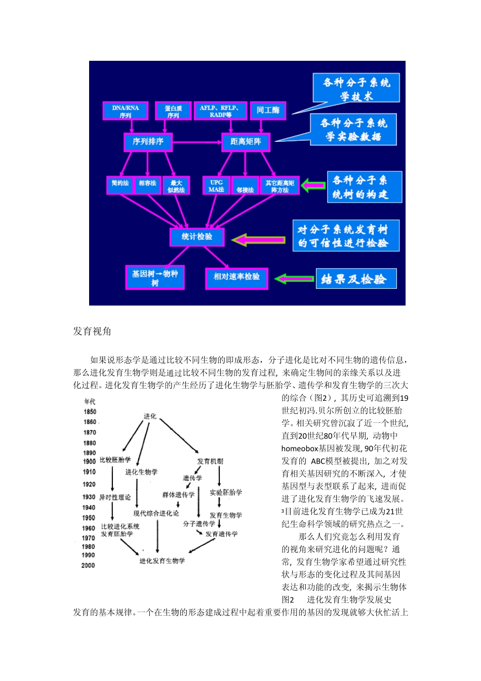 关于进化生物学的一点看法_第3页