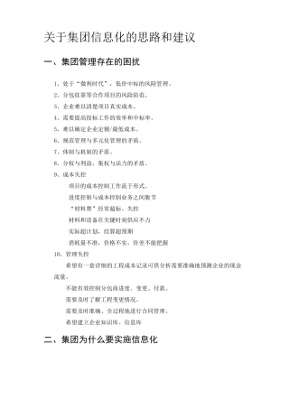 关于集团信息化的思路和建议