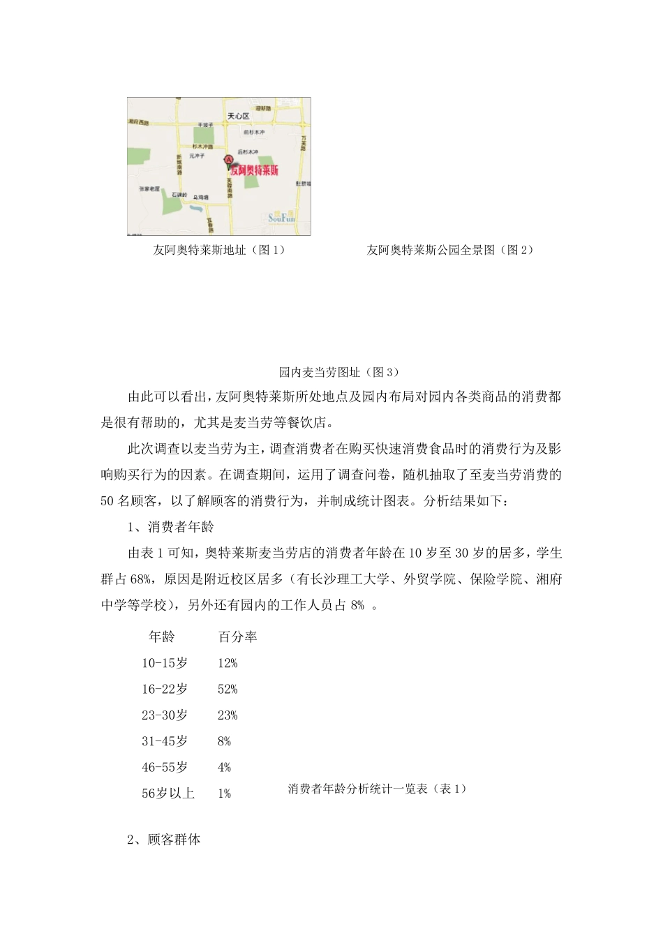 关于麦当劳消费者行为分析报告_第3页