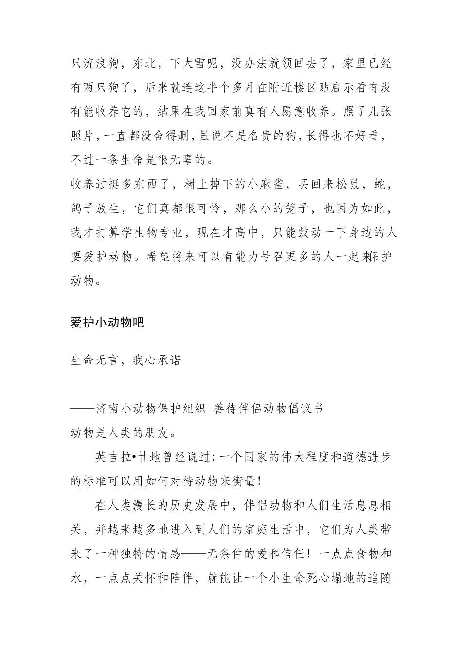 关爱流浪小动物_第3页