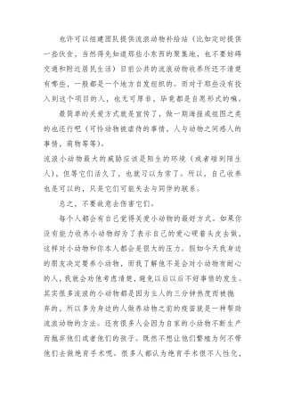 关爱流浪小动物