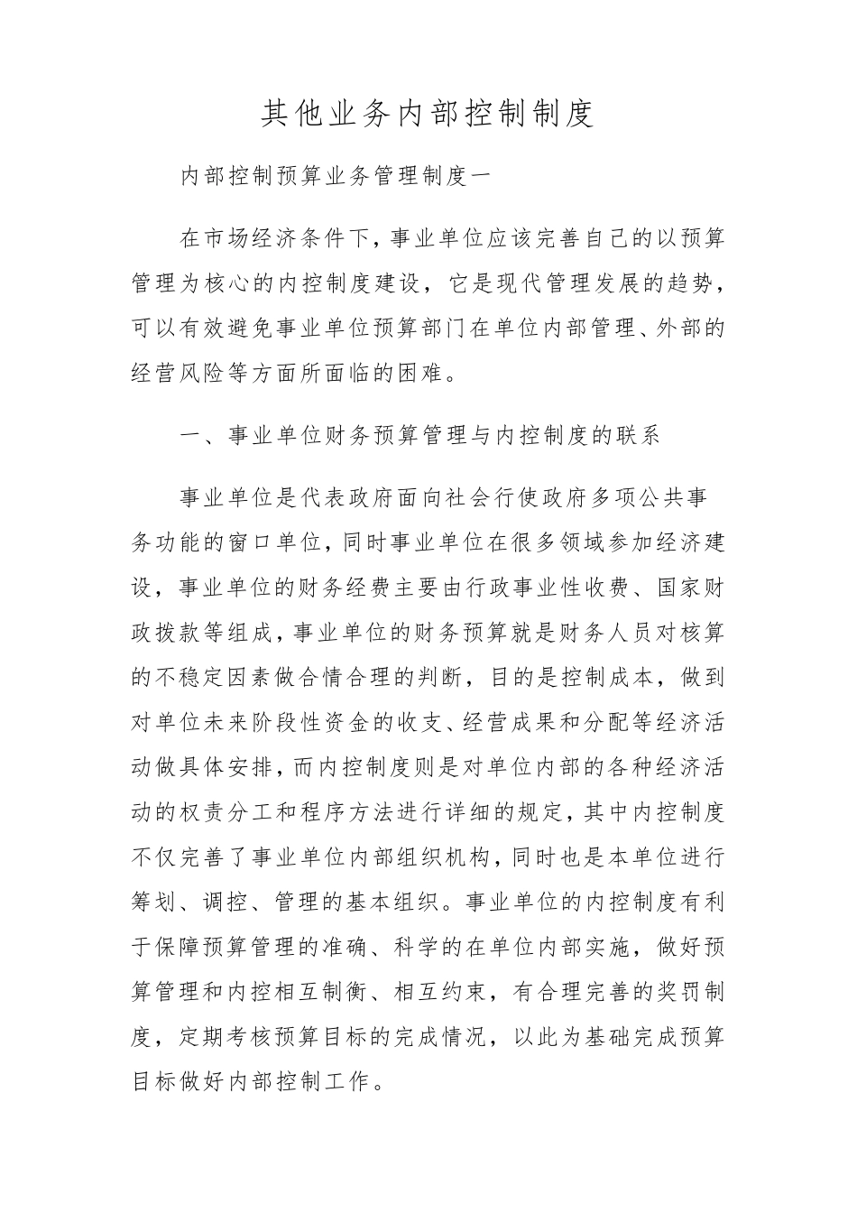 其他业务管理内部控制制度_第1页