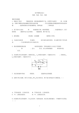 初中物理总复习(电路电流电压电阻)