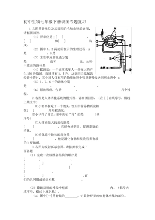 初中生物七年级下册识图专题复习